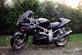 Suzuki TL 1000 S Suzuki TL 1000 S